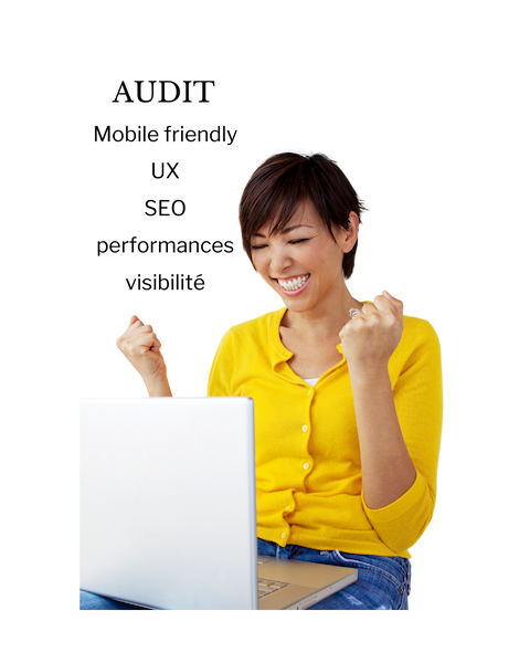 Audit de site web